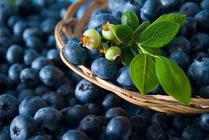 vitamin rich blueberries